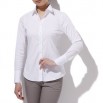 Bagutta / WOMEN'S シャツ