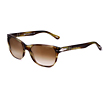 Persol / サングラス(スクエア) Persol / サングラス(スクエア)